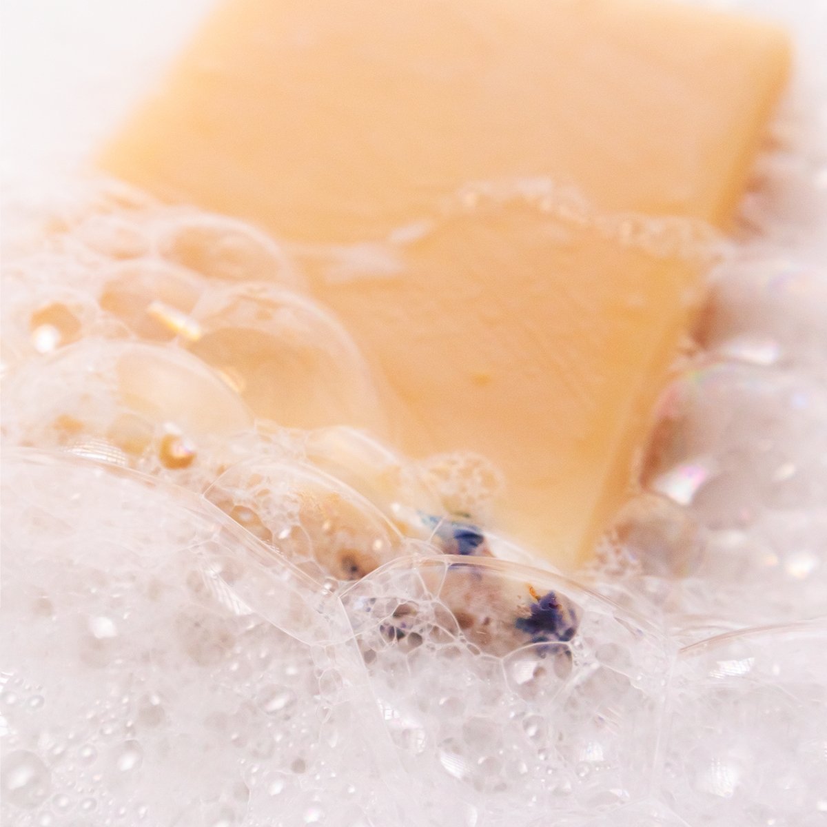 Honey Bunny Soap Bar - Vocal Botany